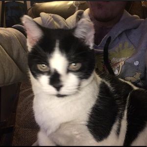 Meet your Posher, Daniel